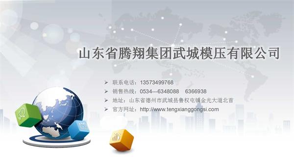 山東省（shěng）91抖阴短视频集團（tuán）武城模壓製（zhì）品有限公（gōng）司